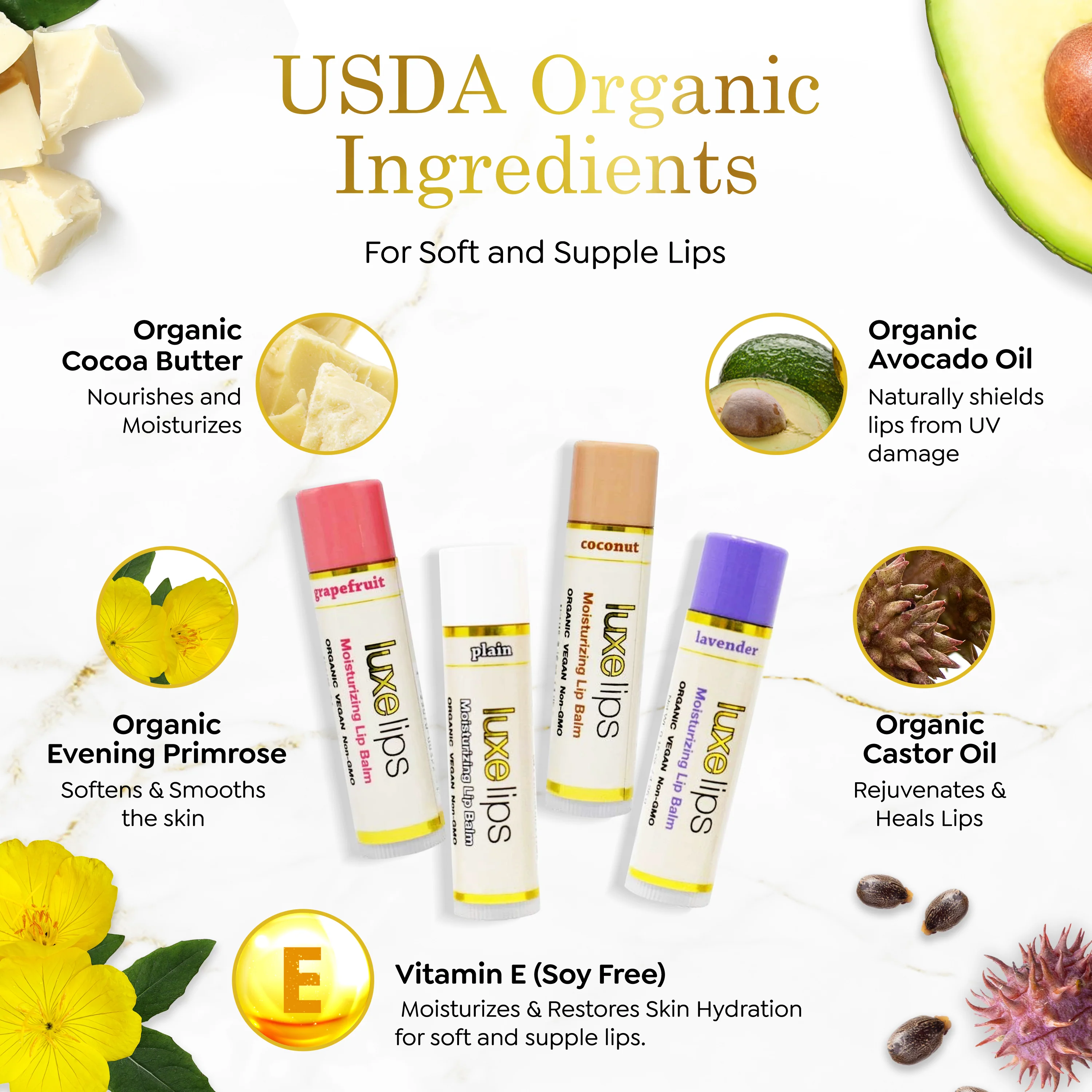 Luxe Lips 4 Pack - Grapefruit, Plain, Coconut & Lavender Scented - Image 5